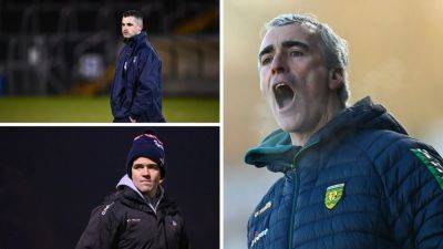 Division 2 preview: New managers facing high stakes - rte.ie - Spain - Ireland - county Independence