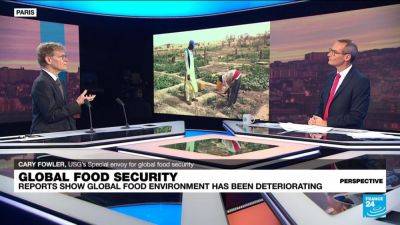 Global food security 'has to be based on adapted crops', US special envoy says - france24.com - France - Usa