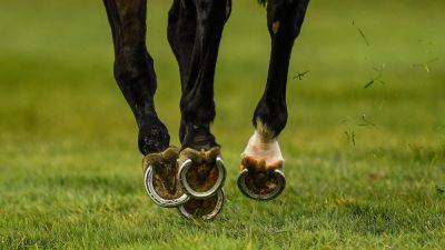 Naas set for precautionary inspection ahead of Sunday's card