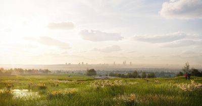 Section of Greater Manchester moorland named as 'habitat bank'