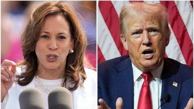 Joe Biden - Donald Trump - Kamala Harris - US election: These swing states will decide whether Trump or Harris wins - euronews.com - Usa - state Arizona - county Harris - county Clinton