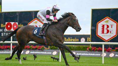 Donnacha O'Brien hopeful Porta Fortuna can thrive at Breeders' Cup