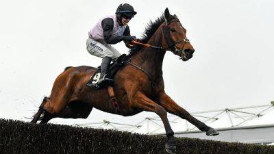 Race-fit French Dynamite scores at Punchestown