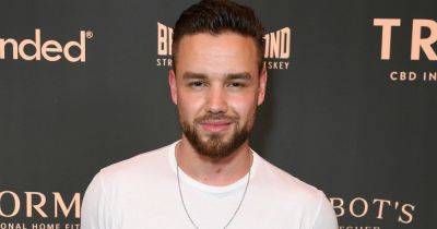 Liam Payne - from boyhood dreams on X Factor to the biggest boyband in the world - fans mourn tragic death