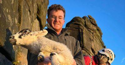 Mountain rescuers scrambled to save sheep stranded on Peak District beauty spot cliff - manchestereveningnews.co.uk