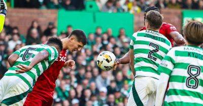 Duk sees Celtic no goal split the pundits as 'harsh' Aberdeen handball sparks definitive VAR defence