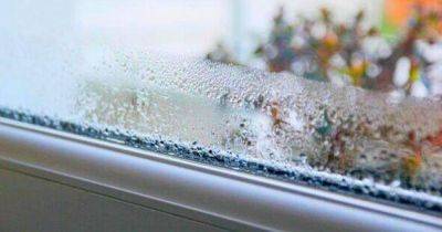 Cleaning windows with one common kitchen item will make condensation 'disappear for good' - manchestereveningnews.co.uk