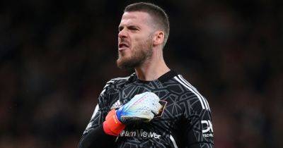 David de Gea sends Alejandro Garnacho perfect Man United message after Brentford win