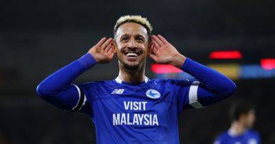 Cardiff City 2-0 Portsmouth: Bluebirds out of relegation zone as they go four games unbeaten