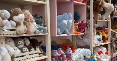 'I refuse to pay £80 on Vinted for a Jellycat toy – this £5 alternative is better' - manchestereveningnews.co.uk