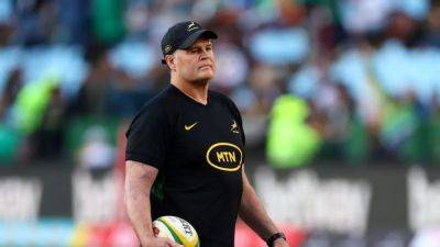 Springboks call up Grobbelaar, Louw to replace injured Wessels