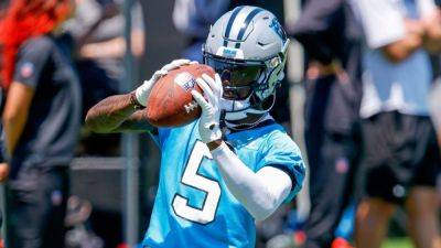 Panthers WRs Diontae Johnson, Adam Thielen ruled out vs. Broncos - ESPN