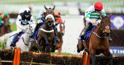 TV racing schedule plus Garry Owen tips and best bets for Cheltenham, Doncaster and Newbury