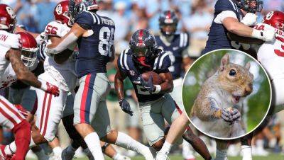 Ole Miss Crowd Goes Nuts For Squirrel That Ran Onto The Field - foxnews.com - state Oklahoma