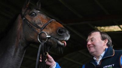 Nicky Henderson - Cheltenham Festival - Henderson 'couldn't be happier' with Constitution Hill - rte.ie - county Henderson