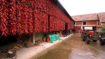 Explore Serbia's red village of Donja Lokošnica and the Unesco-listed Pirot carpet craft - euronews.com - Serbia - China - Turkey - Greece