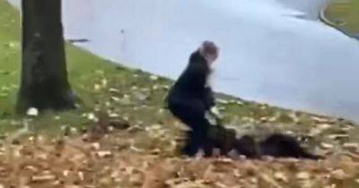 Horrific video shows moment boy, 14, is mauled by vicious dog in Bolton park as police hunt owners