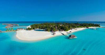 Shoppers can snap up all-inclusive holidays 'to Maldives and Bali' for under £100 this November