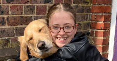 'A girl repeatedly hit my assistance dog while her mum was engrossed in her phone' - manchestereveningnews.co.uk