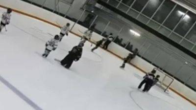 Parents and coach brawl at kids' hockey tourney in Hamilton, prompting refs to halt game