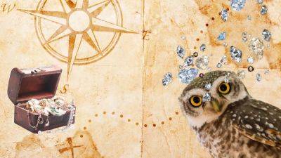 Treasure hunt finally over for France’s famous €150,000 Golden Owl