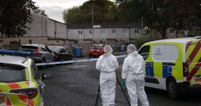 Crime scene investigators scour street for evidence after shooting in Gorton - manchestereveningnews.co.uk