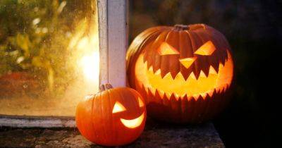 UK families issued 'abysmal' pumpkins warning ahead of Halloween
