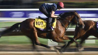 Horse racing-O'Brien looks to City of Troy to end Breeders' Cup drought