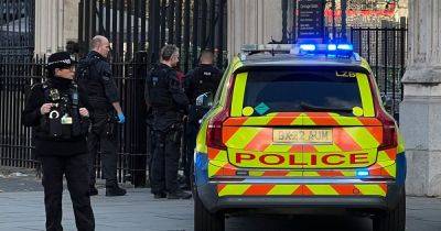 Armed police race to Parliament as 'man arrested for carrying knives'