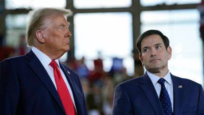 Donald Trump - Marco Rubio - Trump to appoint hardliners Rubio and Waltz as foreign policy chiefs, reports claim - euronews.com - Britain - Russia - France - Ukraine - Germany - Usa - China - Iran - Israel - Cuba