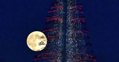 When is the full moon in November 2024 and why is it called the Beaver Moon?