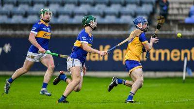 Na Fianna get past Clough Ballacolla with ease in Leinster SHC quarter-final - rte.ie