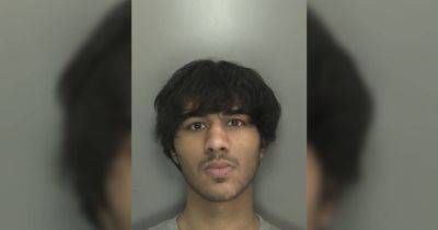 Boy, 14, tried to murder love rival after impersonating his own girlfriend on Snapchat
