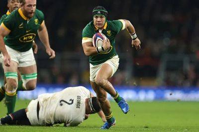 Springbok stars dominate World Rugby Player of the Year nominations, Sacha also honoured