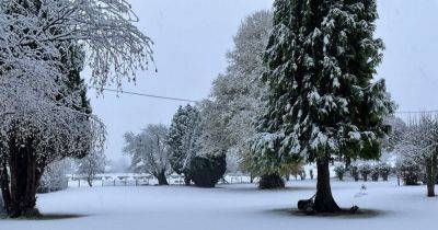 Heavy snow closes schools and blocks roads in Wales - live updates