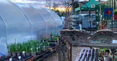 Manchester garden centre 'frighteningly quiet' after 'rubbish' November - manchestereveningnews.co.uk