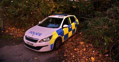 Girl, 13, fighting for her life after stabbing as six teenagers arrested