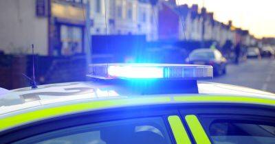 Girl, 10, dies after being bitten by her family’s dog inside home