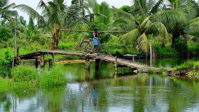 Emerald backwaters, golden beaches and hilltop havens: Northern Kerala is India’s tranquil gem - euronews.com - India - county Lake