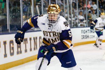 Notre Dame Hockey Apologizes, Deletes Tweets Telling Fans To Avoid Wearing ‘Irish Symbolism’ In Belfast