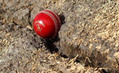 'Snake Cracks' On Perth Test Pitch? Chief Curator Makes Big Revelation