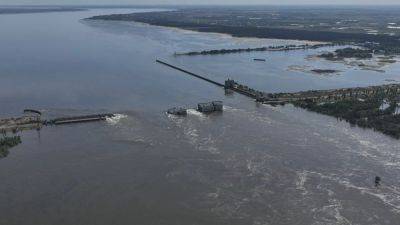 'We will try to protect what we can’ – Ukraine’s environment minister at COP29