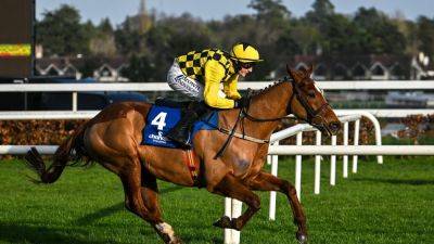 Willie Mullins - Paul Townend - Gordon Elliott - Patrick Mullins - Willie Mullins set to unleash stars for Morgiana Hurdle at Punchestonw - rte.ie - Ireland - county Conway