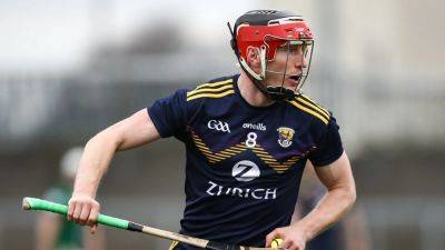 Wexford's Diarmuid O'Keeffe retires from inter-county hurling - rte.ie - county Wexford