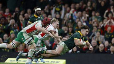 Springboks extend Wales's record losing run with 45-12 victory