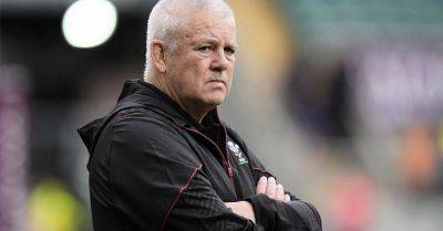 Wales rugby bosses hope review into dismal run will be completed by Christmas