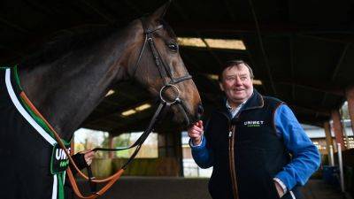 Nicky Henderson - An Mri - Nicky Henderson: Christmas Hurdle return for Constitution Hill is now 'realistic' - rte.ie