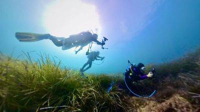 Underwater WiFi, aquaponic farms: How European startups woo investors - euronews.com - Italy - Eu - county Ocean