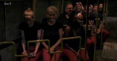 ITV I'm A Celebrity viewers beg 'please' after campmate 'volunteers' for next trial