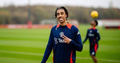 Beautiful, elegant and ready to rock and roll - Man United can unleash Ruben Amorim's dream player